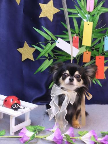 20230729アリューくん